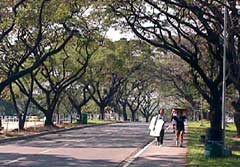 ateneo