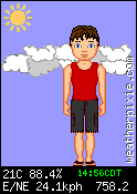 The WeatherPixie