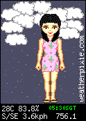 The WeatherPixie